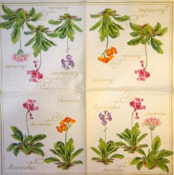 209 Flowers Others - 3-ply (cream) - Ihr - CS